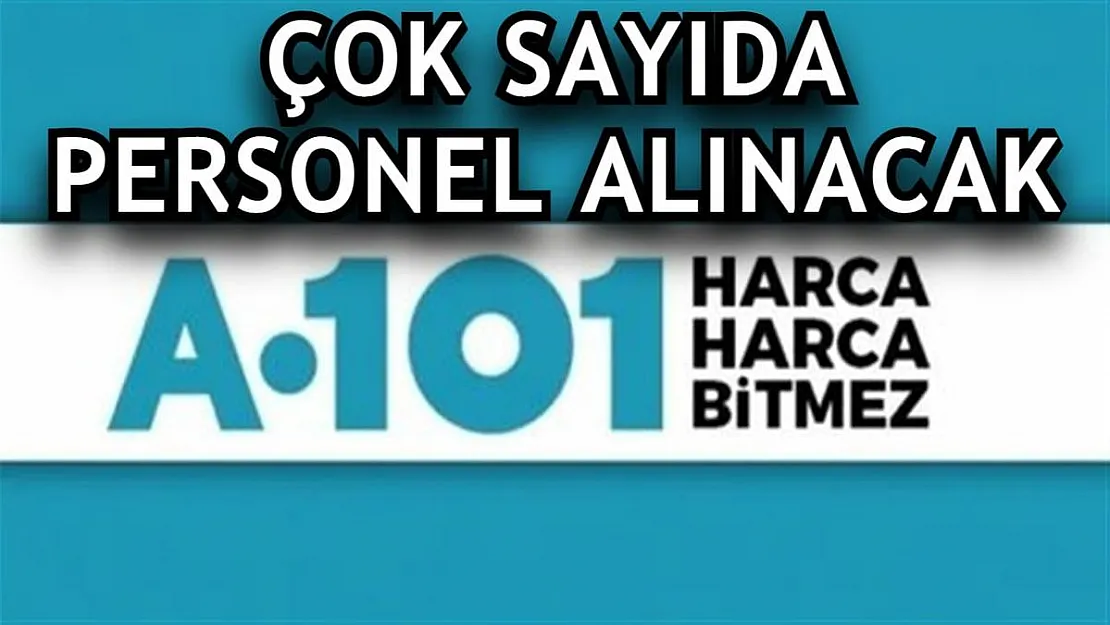 Başvurular açık! A101 81 ilden yüzlerce personel alımı yapıyor