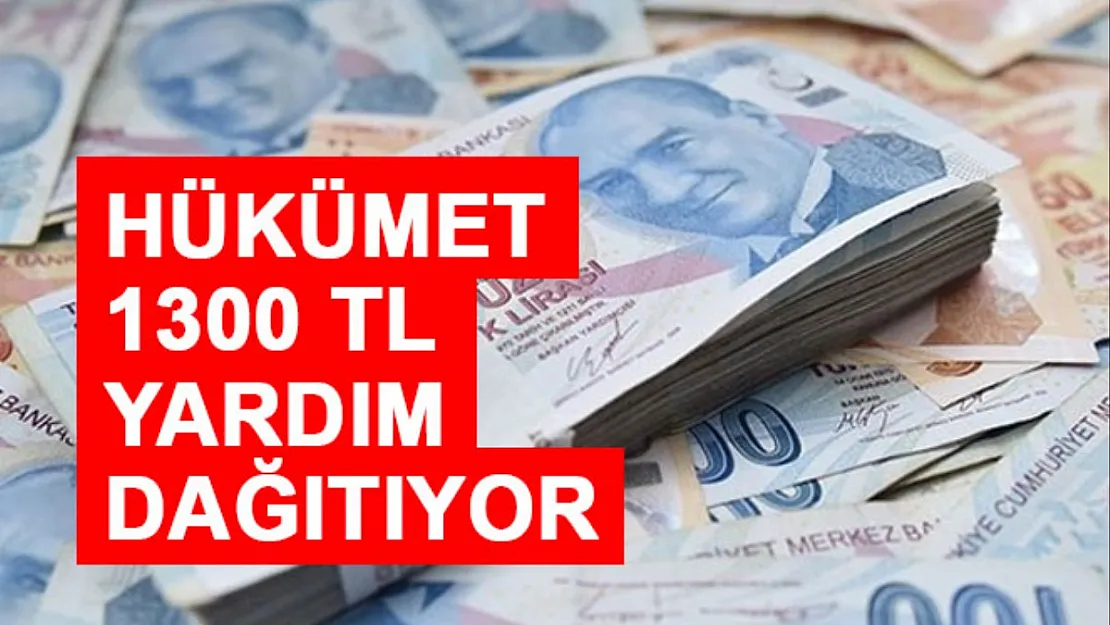 Başvurunuz için bir dilekçe yeterli! Kimlik ve dilekçesi ile gelene 1.300 TL devlet desteği 2022