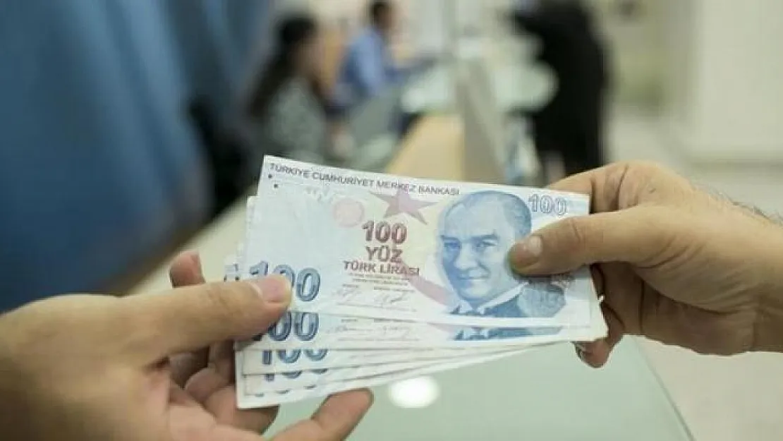 Başvurusuz 202 Lira Destek Veriliyor ! e-Devletten Ödemelerinizi Kontrol Edin