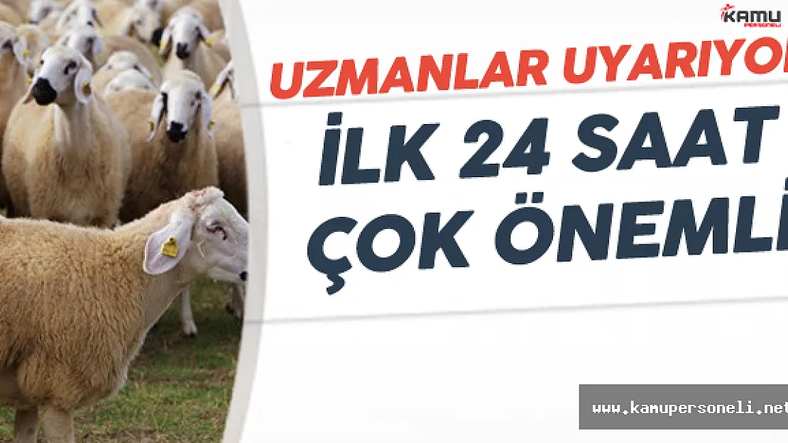 Bayram Yaklaşıyor ! Peki Kurban Eti Nasıl Tüketilir ?