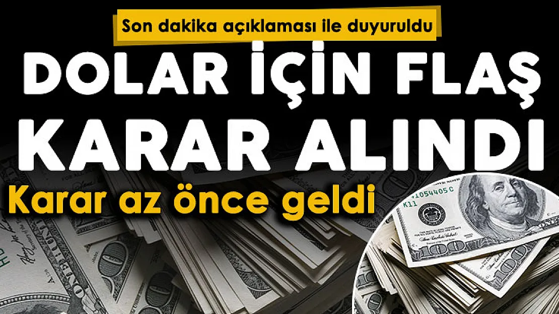 BDDK'dan flaş karar dolar kararı! Esneklik sağlandı