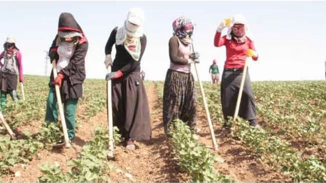 Belediye çiftçinin satamadığı ürünü alıp ihtiyaç sahiplerine dağıtacak!