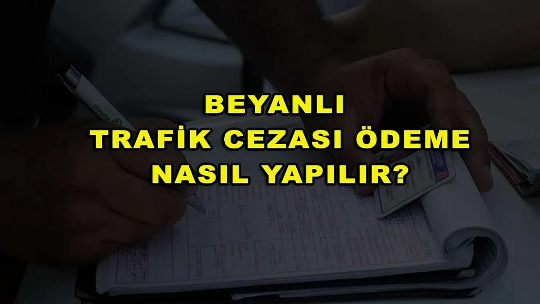 Beyanlı Trafik Cezası Ödeme Nasıl Yapılır?