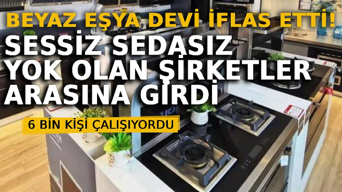 Beyaz Eşya Devi İflas Etti! Sessiz Sedasız Yok Olan Şirketler Arasına Girdi