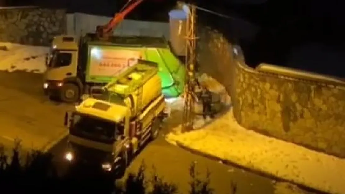 Beykoz'da Vahşet! Çöp Konteynerinde 19 Ölü Köpek Bulundu