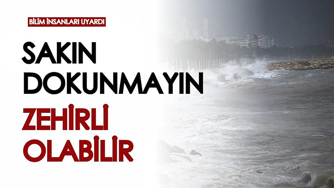 Bilim insanları çok kritik uyardı: 'Dokunduğunuz anda zehirleyebilir'
