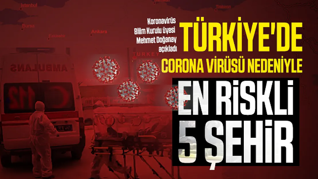 Bilim Kurulu üyesi Prof. Dr. Mehmet Doğanay Türkiye'de corona virüsü nedeniyle en riskli 5 şehri açıkladı