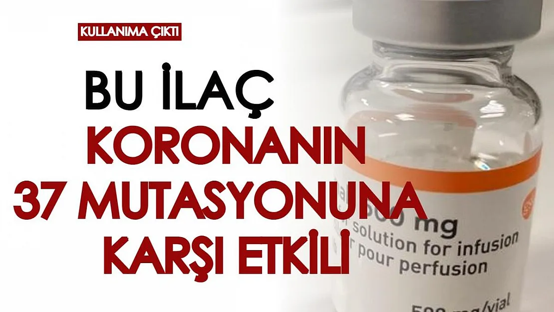 Bilimin gücü kendini bir kere daha kanıtladı! Yeni ilaç koronavirüsün varyantlarına karşı etkili...