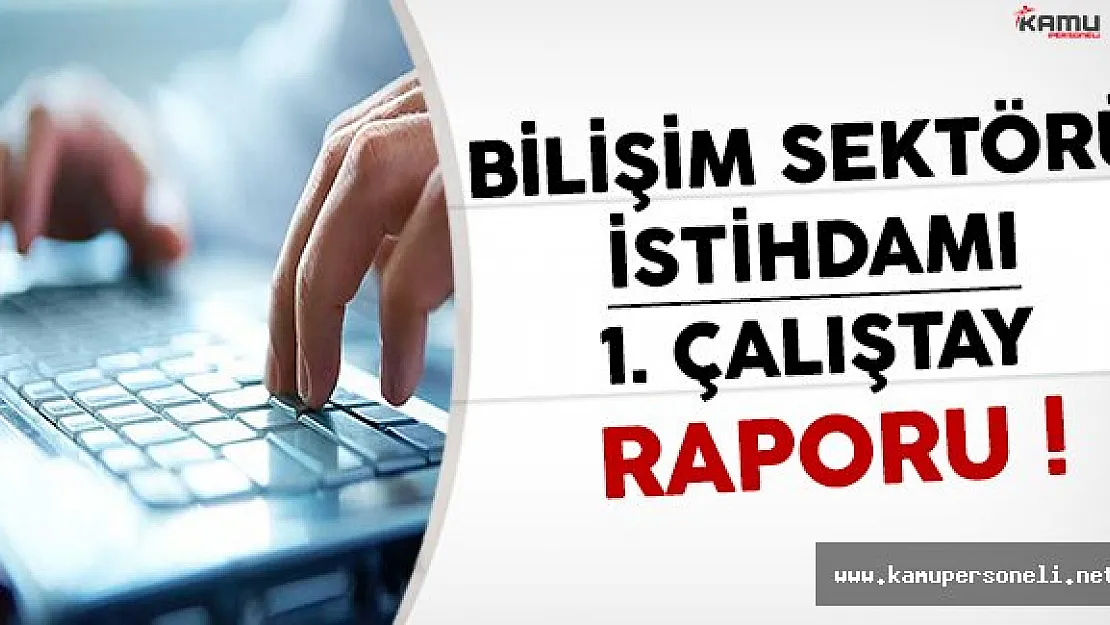 Bilişim Sektörü İstihdamı 1. Çalıştay Raporu