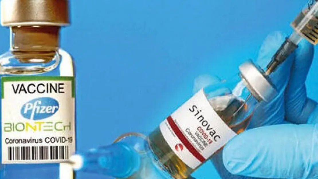 BioNTech ve Sinovac aşıları karşılaştırıldı: Çarpıcı sonuçlar açıklandı! Hangi koronavirüs aşısı daha etkili?