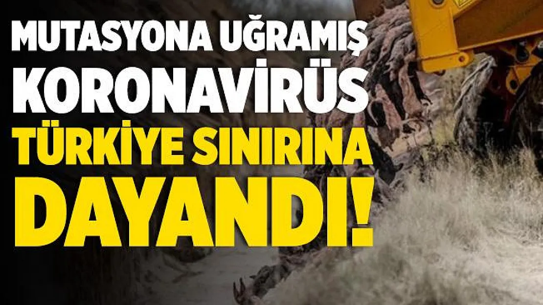 Bir bu eksikti! Mutasyona uğramış koronavirüs Türkiye sınırına dayandı!