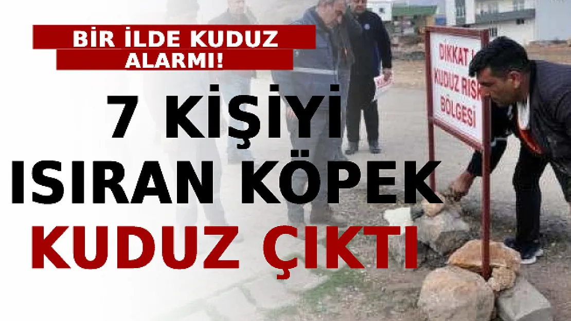Bir İlde Kuduz Alarmı! 7 Kişiyi Isıran Köpek Kuduz Çıktı!