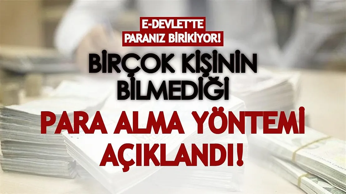 Birçok kişinin bilmediği para alma yöntemi açıklandı! E-devlet'te biriken paranızı alabilirsiniz!