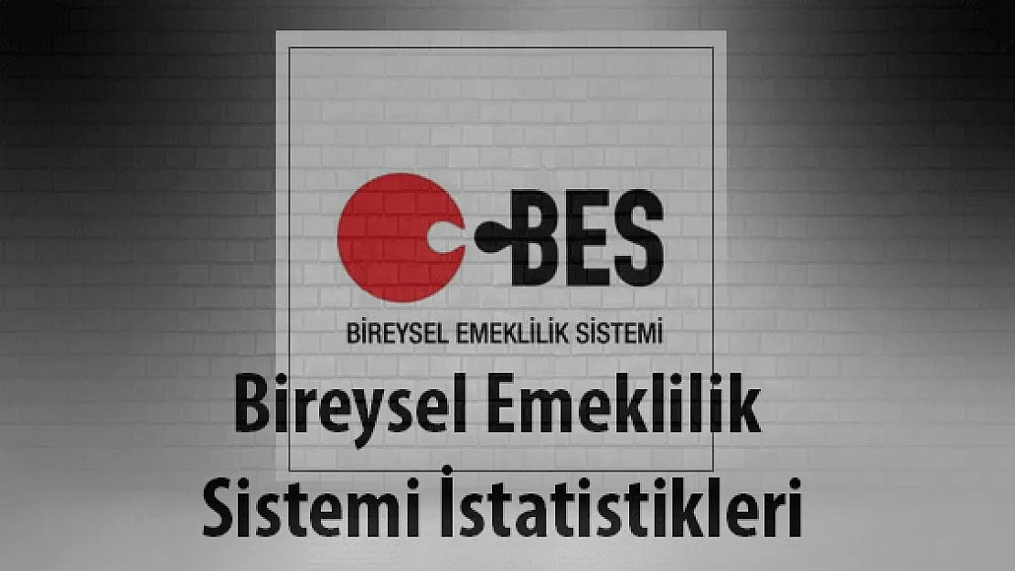 Bireysel Emeklilik Sistemi İstatistikleri