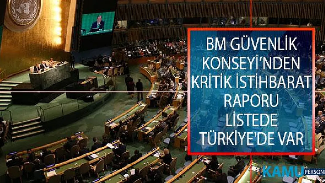 Birleşmiş Milletler (BM) Güvenlik Konseyi'nden Kritik İstihbarat Raporu! Listede Türkiye'de Var!