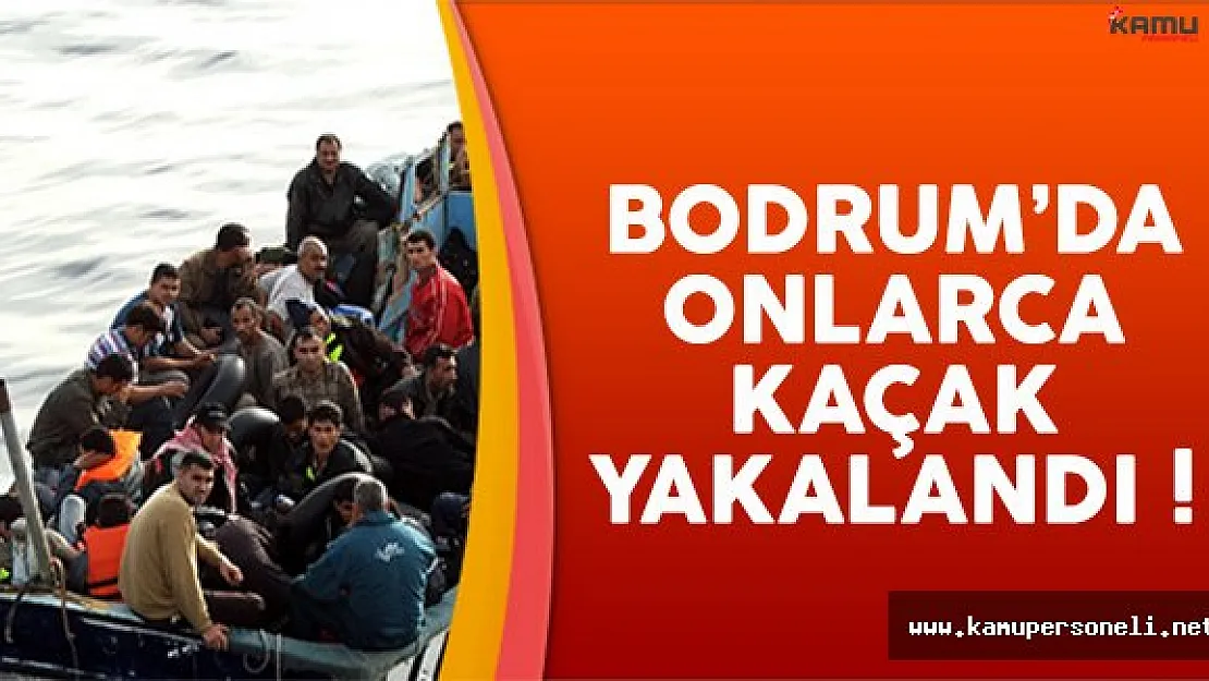 Bodrum'da Yunanistan'a Kaçmaya Çalışan 255 Kaçak Yakalandı !