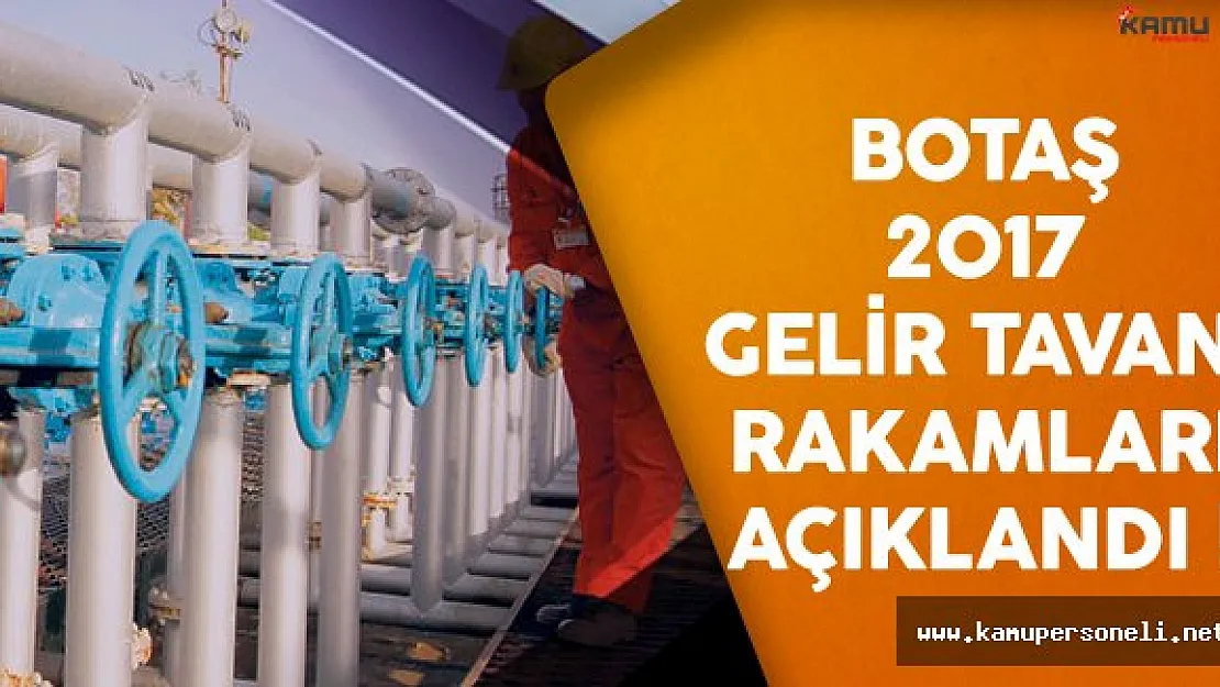BOTAŞ'ın 2017 Yılı Gelir Tavanı Belirlendi