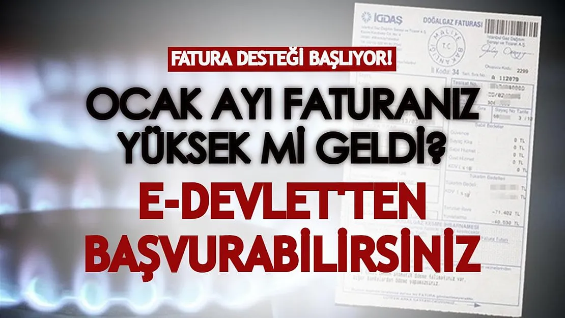 Bu ay doğalgaz faturanız yüksek mi geldi? E-devlet'ten bu yöntemle başvurarak destekten yararlanabilirsiniz!