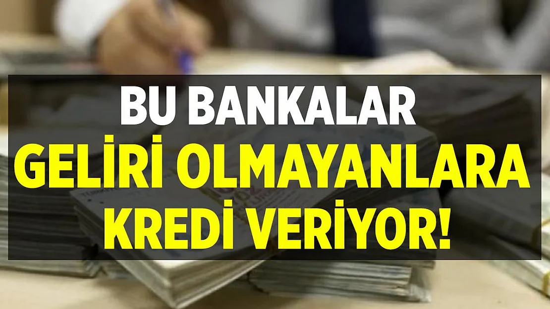 Bu bankalar geliri olmayana kredi veriyor! Şubeye gitmeye gerek yok! Gelir belgesiz kredi veren bankalar 2020