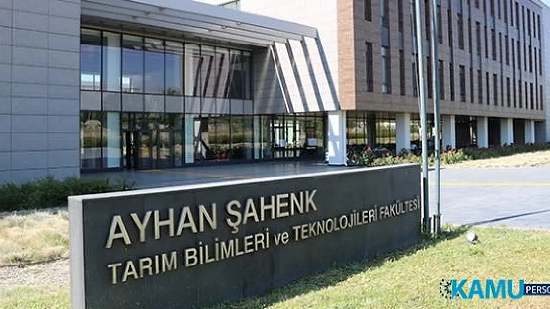 Bu Fakülteyi Tercih Eden Öğrencilere 1350 TL Burs Verilecek