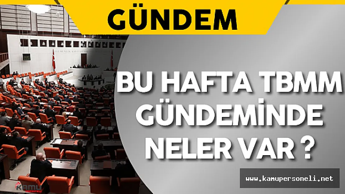Bu Hafta TBMM Gündeminde Neler Var ?