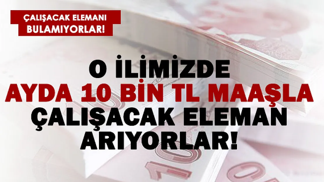 Bu ilimizde 10 bin TL maaşla eleman aranıyor!