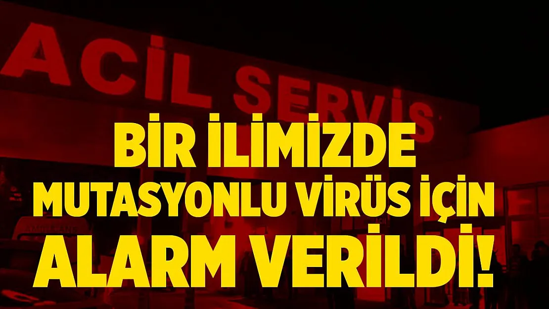 Bu ilimizde mutasyonlu virüs alarmı! Bir ilimize daha mı sıçradı?