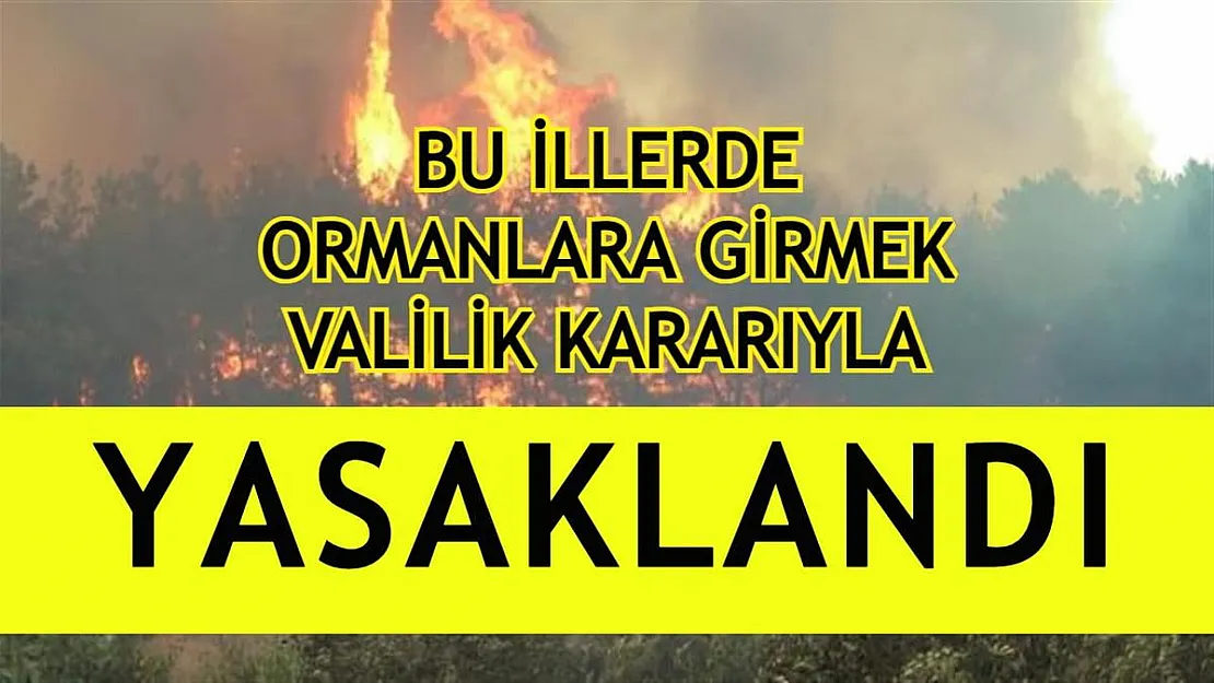 Bu illerde ormanlara ve piknik alanlarına girişler Valilik kararıyla yasaklandı!