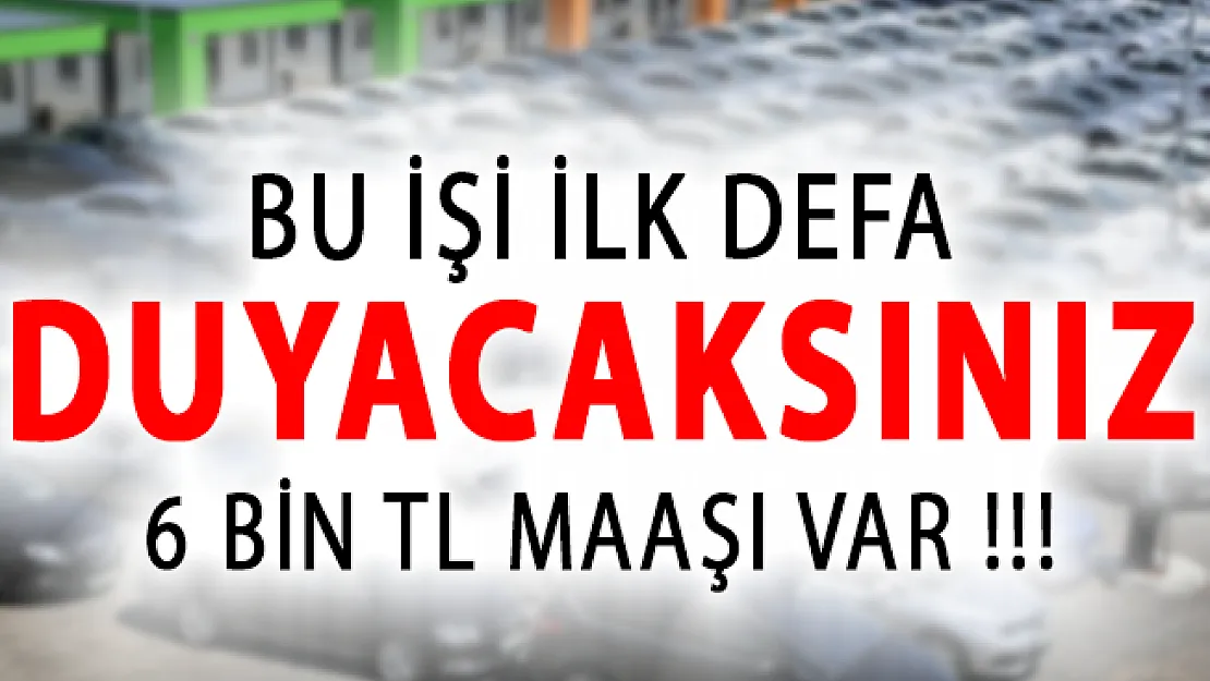 Bu İşi İlk Defa Duyacaksınız! 6 Bin Türk Lirası Maaşı Var