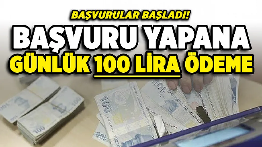Bu programa başvuru yapana günlük 100 lira ödeme! Başvurular başladı: 120 bin kişi