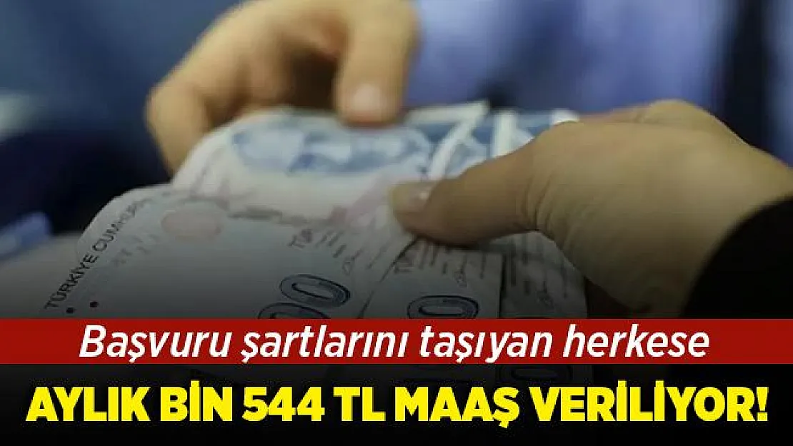 Bu şartları taşıyan herkese bin 544 TL maaş verilecek! Başvuru şartları neler?