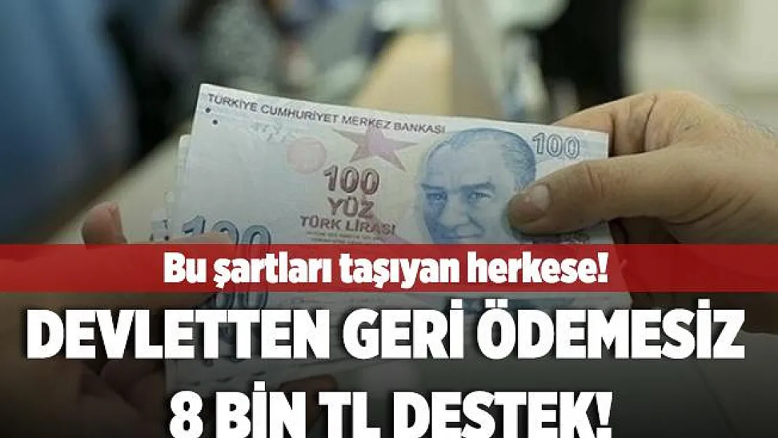 Bu şartları taşıyan herkese devletten geri ödemesiz 8 bin TL nakit destek veriliyor!