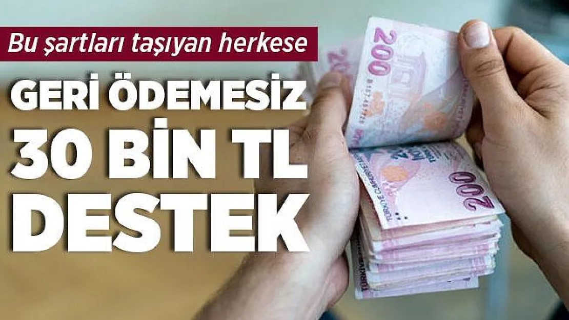 Bu şartları taşıyan herkese devletten geri ödemesiz 30 bin TL yardım!
