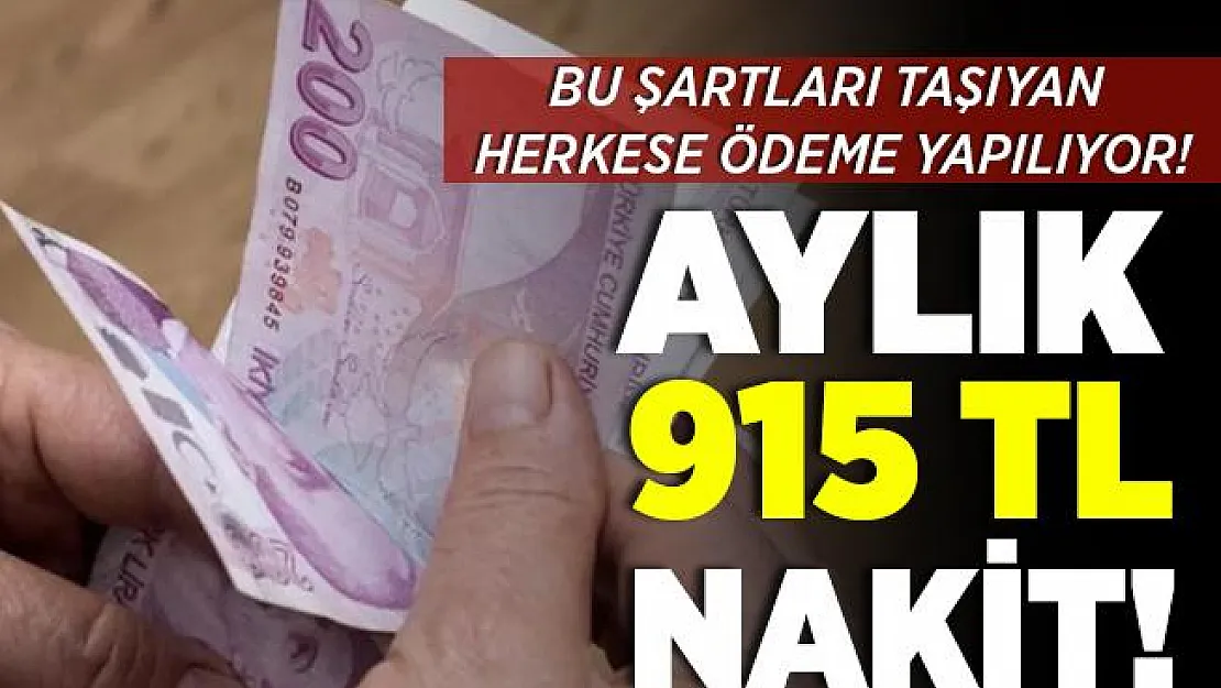 Bu şartları taşıyanlara devletten aylık 915 TL maaş desteği!