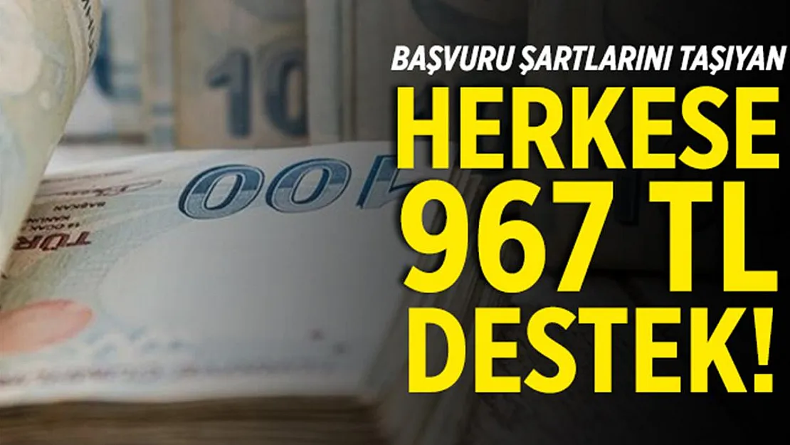 Bu şartları taşıyanlara devletten aylık 967 TL yardım veriliyor!