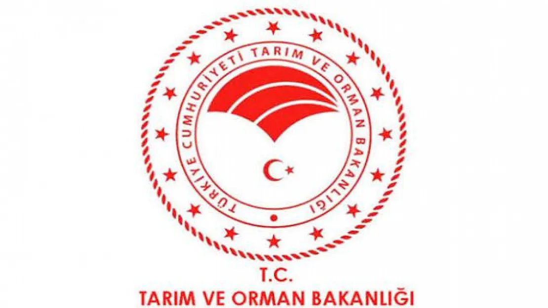 Bu ürünlere dikkat! 386 üründe taklit uyarısı! Bakanlık açıkladı