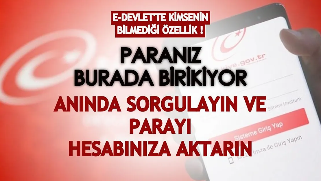 Bu yöntemle e-Devlet'te biriken paranızı görebilirsiniz! Anında sorgulayın ve hesabınıza aktarın!
