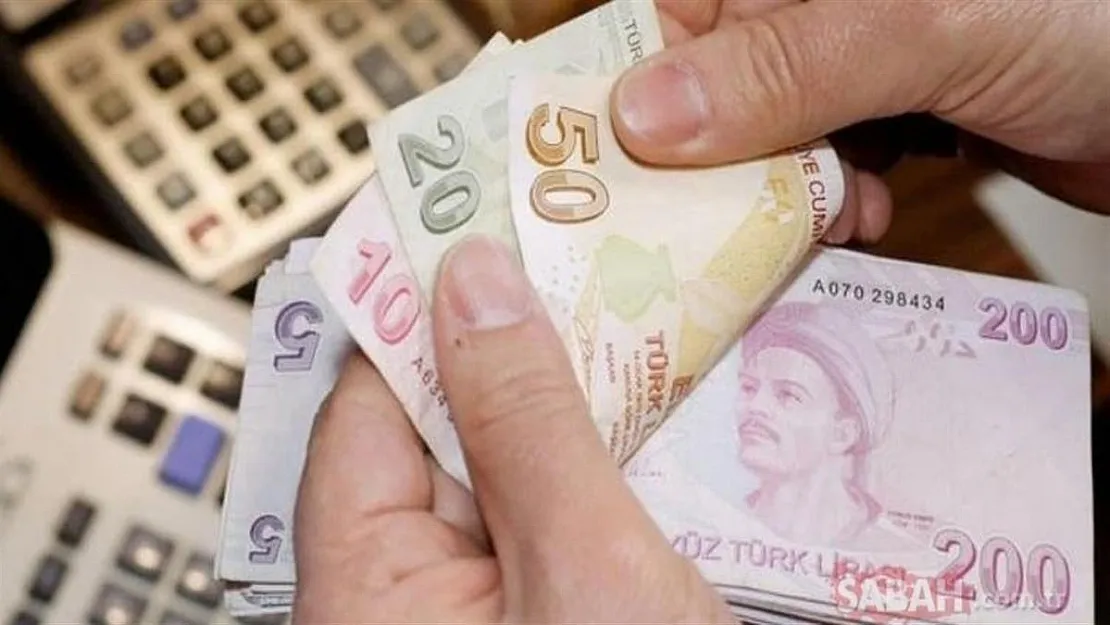Bunu yapana 767 TL veriliyor! Devletten ilave destek geliyor!