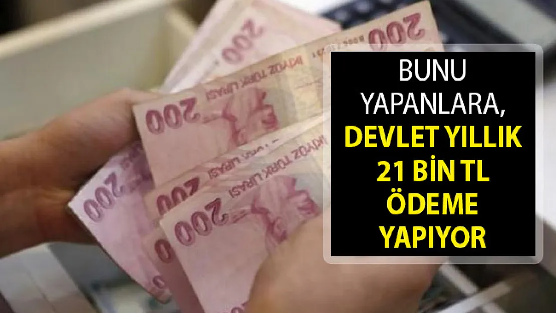 Bunu Yapanlara, Devlet Yıllık 21 Bin TL Ödeme Yapıyor