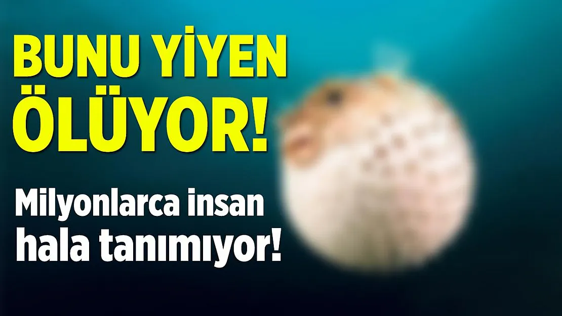 Bunu yiyen ölüyor! Milyonlarca insan hala tanıyamıyor!