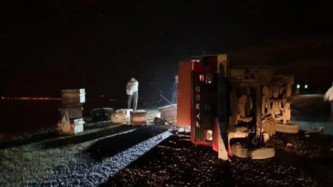 Bursa İznik'te Panik Anları- Kamyon Devrildi Binlerce Arı Kovandan Çıktı İlçe Panikte