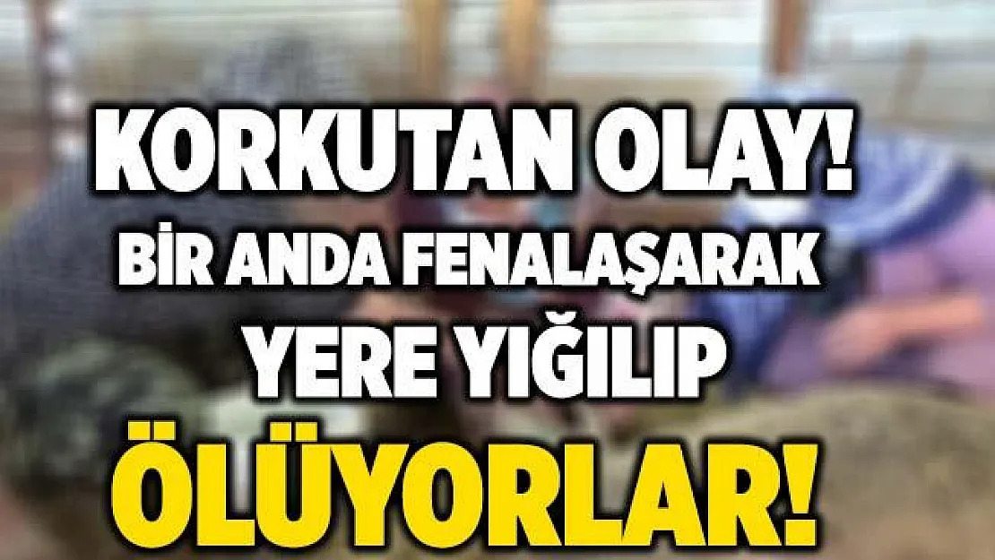 Bursa'da korkutan olay! Bir anda fenalaşarak yere yığılıyorlar!