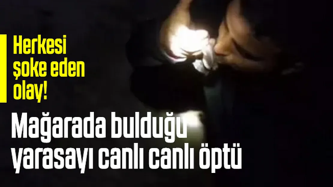 Bursalı Maceracı İbrahim Sargın'dan herkesi şok eden hareket! Mağarada bulduğu yarasayı canlı canlı öptü