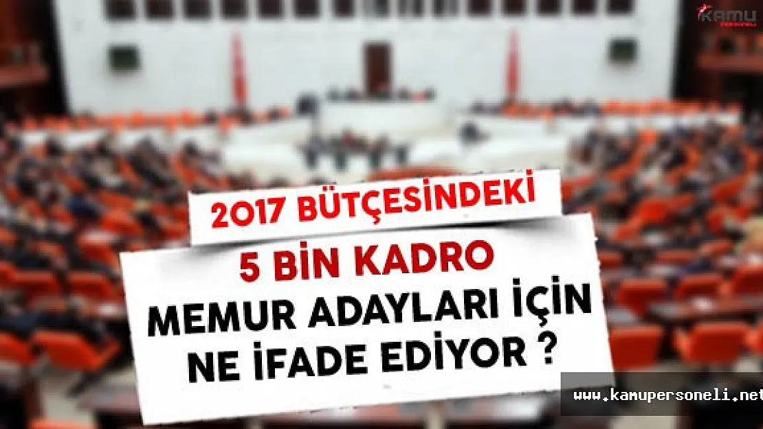 Bütçedeki 5 Bin Kadro Memur Adayları İçin Ne İfade Ediyor?