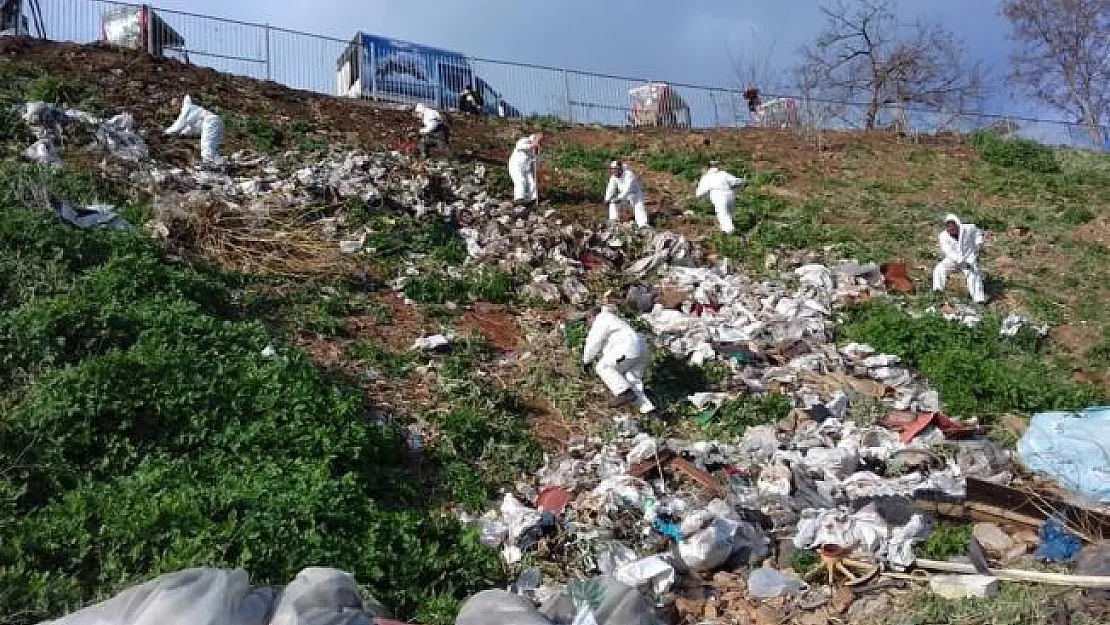 Büyükada'da 25 ton atık çöp toplandı!