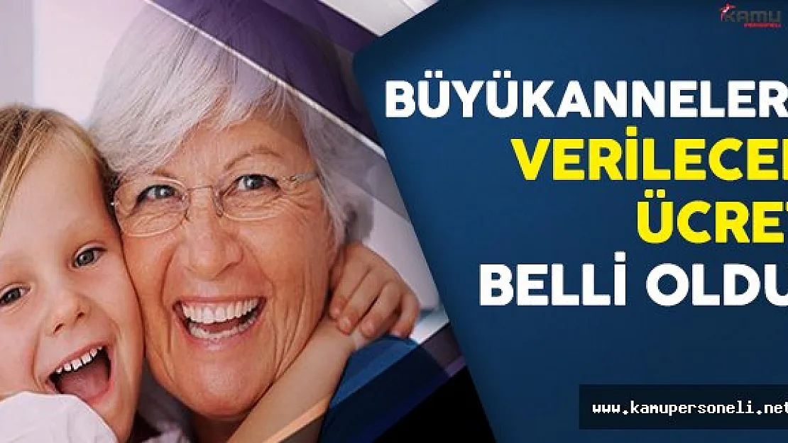 Büyükannelere Müjde ! Verilecek Bebek Bakım Parası Miktarı Belli Oldu