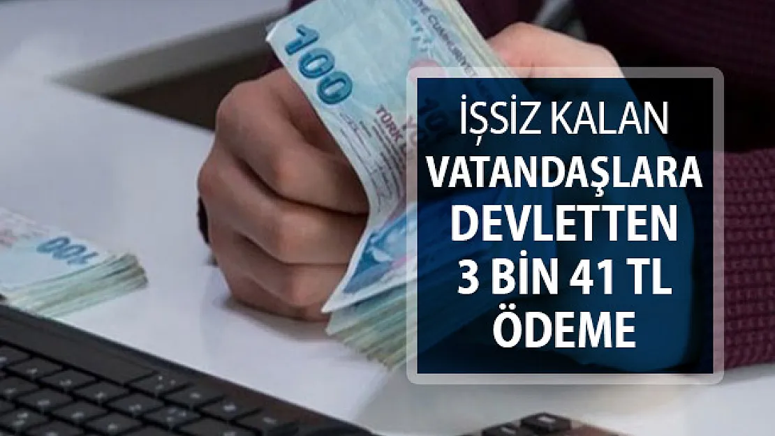 Çalışmayan Vatandaşlara Devletten 3 Bin 41 TL Ödeme !