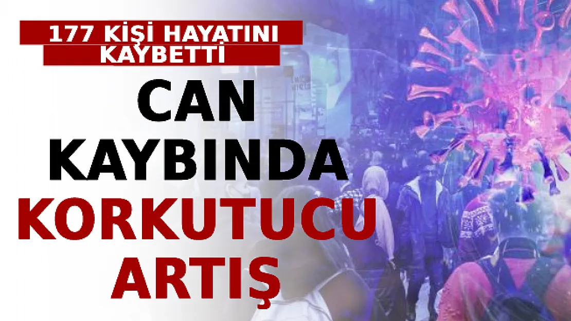 Can Kaybında Korkutucu Artış! 177 Kişi Hayatını Kaybetti