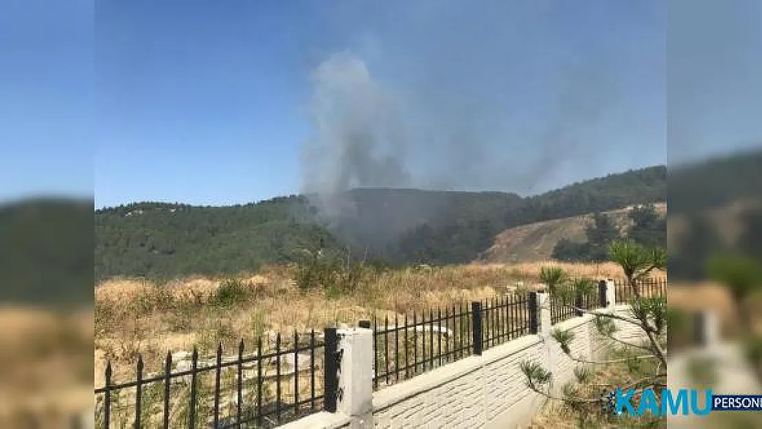 Çanakkale'de Orman Yangını ! Karadan ve Havadan Müdahale Ediliyor