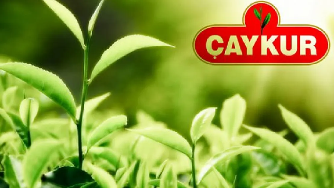 ÇAYKUR 175 Mevsimlik İşçi Alıyor